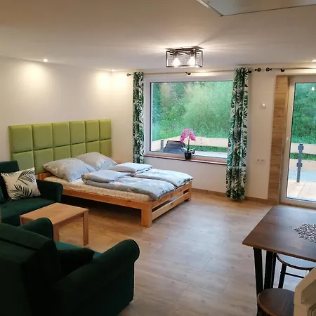 Z Tarasem Nad Strumykiem Apartment Duszniki Zdrój