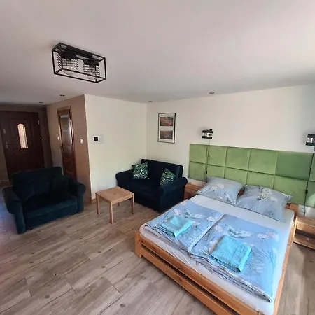 Z Tarasem Nad Strumykiem Appartement Duszniki Zdrój